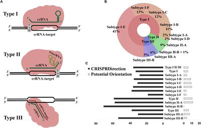 A Simple Criterion for Inferring CRISPR Array Direction